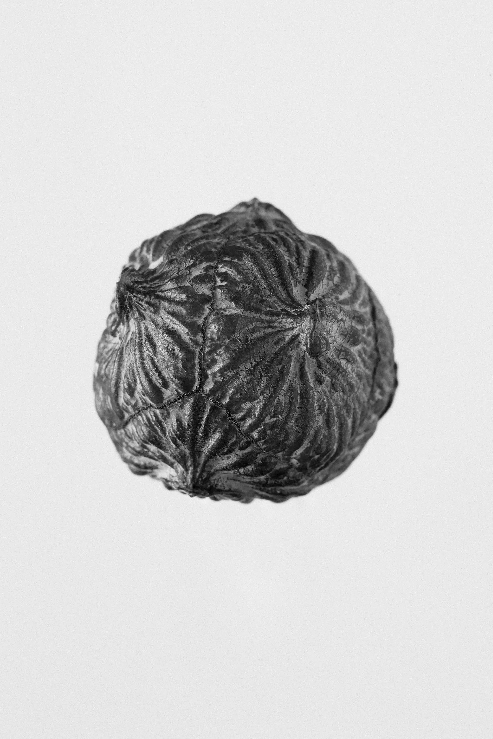 Objects, photograph 1 of 5